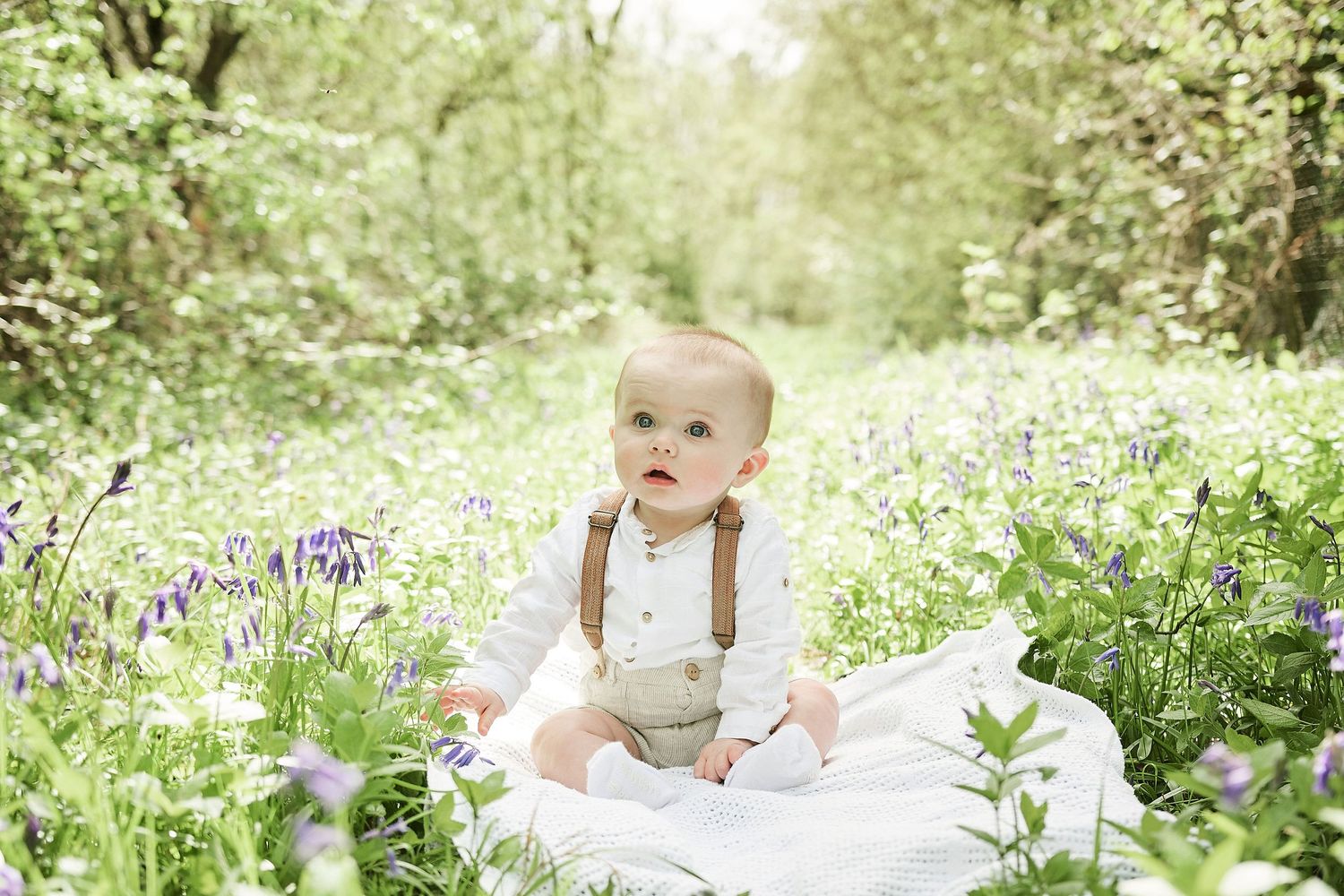 toddler sits amongst bluebells for beautiful portrait by Norfolk Family Photographer Faye Amare